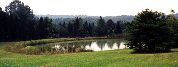 Pond Cottage